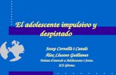 El adolescente impulsivo y despistado Josep Cornellà i Canals Àlex Llusent Guillamet Unitat d’atenció a Adolescents i Joves. ICS Girona.
