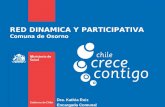 RED DINAMICA Y PARTICIPATIVA Comuna de Osorno Dra. Kathia Ruiz Encargada Comunal.