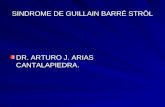 SINDROME DE GUILLAIN BARRÉ STRÖL DR. ARTURO J. ARIAS CANTALAPIEDRA.