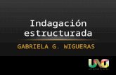 GABRIELA G. WIGUERAS Indagación estructurada. 2 3.