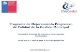 Formación Comités de Mejoras y Contrapartes Municipales MODULO N°1 PROGRAMA Y AUTOEVALUACIÓN Programa de Mejoramiento Progresivo de Calidad de la Gestión.