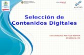 Selección de Contenidos Digitales LUIS GONZALO ACEVEDO ESPITIA ASOANDES-CPE.