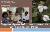 Cómo Evaluamos el Impacto del Seguro Agrario? Lecciones de un Piloto en Perú Steve Boucher University of California, Davis ADAAPT-DIME Brasilia, 17 Noviembre.