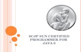 SCJP SUN CERTIFIED PROGRAMMER FOR JAVA 6. SCJP 6.0 SEMANA CUATRO CONTROL DE FLUJOS, EXCEPCIONES Y ASERSIONES.
