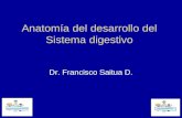 Anatomía del desarrollo del Sistema digestivo Dr. Francisco Saitua D.