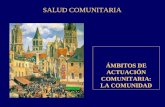 SALUD COMUNITARIA ÁMBITOS DE ACTUACIÓN COMUNITARIA: LA COMUNIDAD.