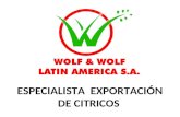ESPECIALISTA EXPORTACIÓN DE CITRICOS. ¿Qué es Wolf & Wolf Latin America? Wolf & Wolf Latin America S.A. nace a principios del año 2000, para atender desde.