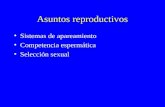 Asuntos reproductivos Sistemas de apareamiento Competencia espermática Selección sexual.