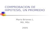 COMPROBACION DE HIPOTESIS, UN PROMEDIO Mario Briones L. MV, MSc 2005.