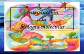 Introducción a la biología molecular Taller de ciencia para jóvenes CIMAT 2007.