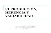REPRODUCCIÓN, HERENCIA Y VARIABILIDAD Profesora titular: Sara Rodríguez Alumna en Práctica: Ingrid Fuentes N 8º año B.
