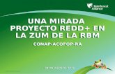 ©2009 Rainforest Alliance UNA MIRADA PROYECTO REDD+ EN LA ZUM DE LA RBM CONAP-ACOFOP-RA 09 DE AGOSTO 2011.