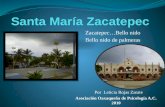 Zacatepec…Bello nido Bello nido de palmeras Por Leticia Rojas Zarate Asociación Oaxaqueña de Psicología A.C. 2010.