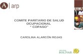 COMITE PARITARIO DE SALUD OCUPACIONAL “ COPASO” CAROLINA ALARCÓN ROJAS.