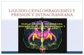 PAOLA ARANDA VALDERRAMA RESIDENTE DE ANESTESIOLOGIA Y REANIMACION III AÑO LIQUIDO CEFALORRAQUIDEO Y PRESION Y INTRACRANEANA.