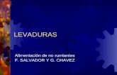 LEVADURAS Alimentación de no rumiantes F. SALVADOR Y G. CHAVEZ.
