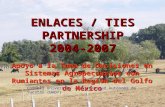 ENLACES / TIES PARTNERSHIP 2004-2007 Apoyo a la Toma de Decisiones en Sistemas Agropecuarios con Rumiantes en la Región del Golfo de México Cornell University.
