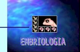 EMBRIOLOGIA Es la parte de la biologia que estudia el desarrollo de los embriones animales y sus diferentes aspectos de niveles evolutivos.
