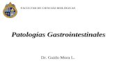 Patologías Gastrointestinales FACULTAD DE CIENCIAS BIOLÓGICAS Dr. Guido Mora L. Dr. Guido Mora L.