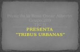 PRESENTA “TRIBUS URBANAS”. Una tribu urbana es un grupo de gente que se comporta de acuerdo a las ideologías de una subcultura, que se origina y se desarrolla.