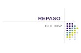 REPASO BIOL 3052. Ciclos de vida de una planta Todas las plantas tienen un ciclo reproductivo en común conocido como la alternancia de generaciones. Las.
