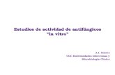 Estudios de actividad de antifúngicos “in vitro” A.I. Suárez UGC Enfermedades Infecciosas y Microbiología Clínica.