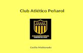 Club Atlético Peñarol Cecilia Maldonado. Brief: Peñarol quiere captar nuevos socios, por lo tanto la idea para TV tiene que hacerle saber al hincha que.