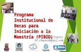 Programa Institucional de Becas para Iniciación a la Maestría (PIBID) Daisi Chapani Dt.chapani@gmail.com.