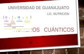 NÚMEROS CUÁNTICOS UNIVERSIDAD DE GUANAJUATO LIC. NUTRICIÓN.