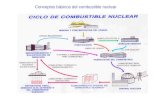 Conceptos básicos del combustible nuclear. Principios Núcleos FISIBLES FERTILES U 233, U 235, Pu 239 Th 232,U 238 Existe en la naturaleza U 235 U 233.