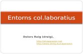 Entorns col.laboratius http://elcaparazon.net http://www.dreig.eu/caparazon Dolors Reig (dreig),