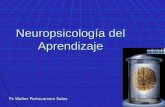 Neuropsicología del Aprendizaje Ps Walter Portocarrero Salas.