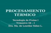 PROCESAMIENTO TÉRMICO Tecnología de Frutas I Trimestre 08 – I Dra. Ma. de Lourdes Yáñez L.