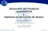 Gerardo Garbarino Coordinador Ejecutivo Instituto Industrial de Estudios 18 de junio de 2008 Santiago de Chile Desarrollo del Producto +gestión/CIU y Diploma.