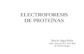 Rocio Inga Peña Dpto. Bioquímica, Biol Mol & Farmacología ELECTROFORESIS DE PROTEÍNAS.