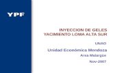 INYECCION DE GELES YACIMIENTO LOMA ALTA SUR Area Malargüe Unidad Económica Mendoza Nov-2007 UNAO.