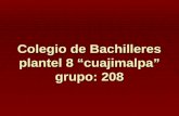 Colegio de Bachilleres plantel 8 “cuajimalpa” grupo: 208.