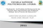 DARÍO IVÁN GALARZA GUADALUPE KEVIN LENÍN PAGUAY PILAY ESCUELA SUPERIOR POLITECNICA DEL LITORAL 2011.
