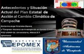 Cambio Climático Conservacion Aprovechamiento Sustentable Programa Estratégico Campeche Verde.