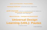Universal Design Learning (UDL): Pautas perfil eAprendiz : Desarrollo y empoderamiento personal, basado en un Aprendizaje Autogestionado, permanente, social.