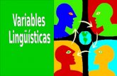 Variables Lingüísticas. El idioma español experimenta variaciones en los diversos países que lo tienen como lengua estándar.