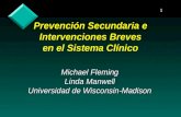 1 Prevención Secundaria e Intervenciones Breves en el Sistema Clínico Michael Fleming Linda Manwell Universidad de Wisconsin-Madison.