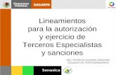 Lineamientos para la autorización y ejercicio de Terceros Especialistas y sanciones ING. PATRICIA GUZMÁN SÁNCHEZ COLEGIO DE POSTGRADUADOS.