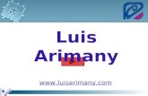Luis Arimany . El Perfil Multi- sectorial Ingeniería Comercial Gestión Multi- disciplinar.