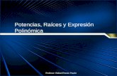 Potencias, Raíces y Expresión Polinómica Profesor: Rafael Porras Pavón.