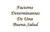 Factores Determinantes De Una Buena Salud Factores Determinantes De Una Buena Salud.