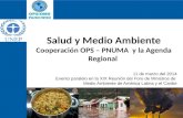 Salud y Medio Ambiente Cooperación OPS – PNUMA y la Agenda Regional 11 de marzo del 2014 Evento paralelo en la XIX Reunión del Foro de Ministros de Medio.