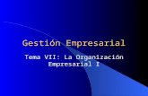 Gestión Empresarial Tema VII: La Organización Empresarial I.