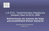 I.A.P.G. Yacimientos Maduros I.A.P.G. Yacimientos Maduros Neuquén, Mayo 19-20-21, 2008 Refracturas en arenas de baja permeabilidad-Vision General Departamento.