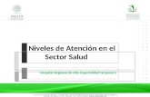 Niveles de Atención en el Sector Salud Hospital Regional de Alta Especialidad Ixtapaluca.